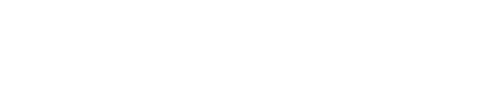 DENOVO ENERGY