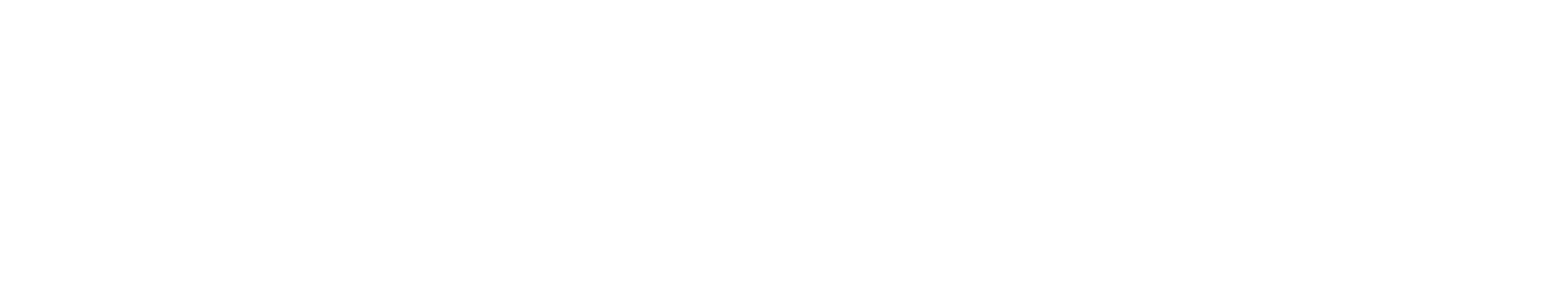 DENOVO ENERGY